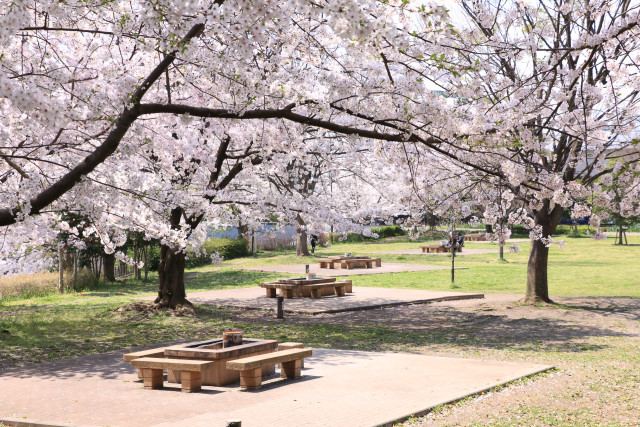 海老名運動公園